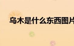 乌木是什么东西图片（乌木是什么东西）