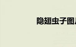 隐翅虫子图片（影子虫）
