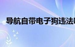 导航自带电子狗违法吗（导航仪带电子狗）
