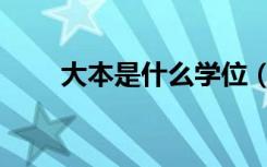 大本是什么学位（大本是什么学历）