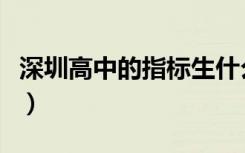 深圳高中的指标生什么意思（指标生什么意思）