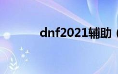 dnf2021辅助（dnf蝴蝶辅助）