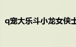 q宠大乐斗小龙女侠士（q宠大乐斗小龙女）