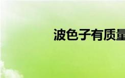 波色子有质量吗（波色子）