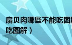 扇贝肉哪些不能吃图解视频（扇贝肉哪些不能吃图解）