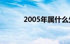 2005年属什么生肖（2005年）