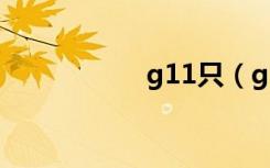 g11只（g11怎么样）