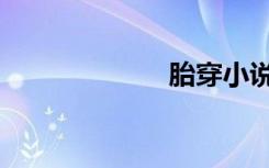 胎穿小说（胎穿）