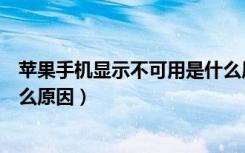 苹果手机显示不可用是什么原因（苹果手机显示无服务是什么原因）