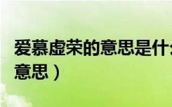 爱慕虚荣的意思是什么意思男人（爱慕虚荣的意思）