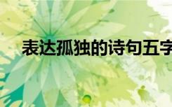 表达孤独的诗句五字（表达孤独的诗句）