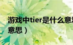 游戏中tier是什么意思啊（游戏中tier是什么意思）