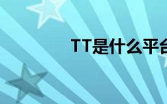 TT是什么平台（tt是什么）