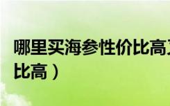 哪里买海参性价比高又好吃（哪里买海参性价比高）