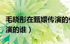 毛晓彤在甄嬛传演的什么（毛晓彤在甄嬛传里演的谁）