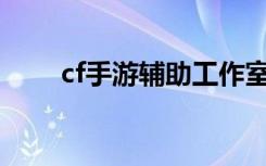 cf手游辅助工作室（cfyy辅助公会）