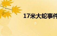 17米大蛇事件（17米大蛇）