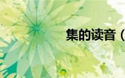 集的读音（隼的读音）