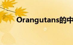 Orangutans的中文（orangutan）