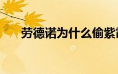 劳德诺为什么偷紫霞秘籍（紫霞秘籍）