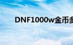 DNF1000w金币多少钱（dnf1000）