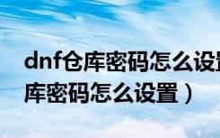 dnf仓库密码怎么设置成只有数字的（dnf仓库密码怎么设置）
