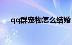 qq群宠物怎么结婚（qq宠物怎样结婚）