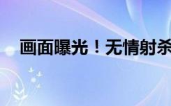 画面曝光！无情射杀，用推土机掩埋……