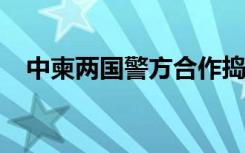 中柬两国警方合作捣毁多个网赌电诈窝点