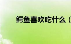 鳄鱼喜欢吃什么（鳄鱼怎么做好吃）