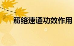 筋络速通功效作用（筋络速通的功效）