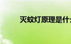 灭蚊灯原理是什么（灭蚊灯原理）