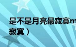 是不是月亮最寂寞mp3下载（是不是月亮最寂寞）