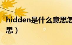 hidden是什么意思怎么读（hidden是什么意思）