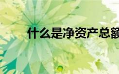 什么是净资产总额（什么是净资产）