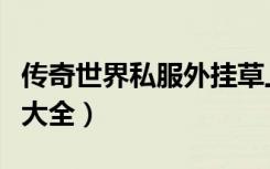 传奇世界私服外挂草上飞（传奇私服外挂网站大全）