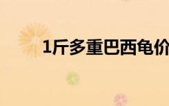 1斤多重巴西龟价格（巴西龟价格）