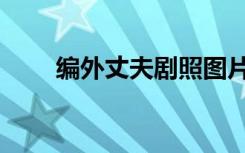 编外丈夫剧照图片大全（编外丈夫）