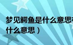 梦见鳄鱼是什么意思有什么预兆（梦见鳄鱼是什么意思）