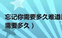 忘记你需要多久难道是天长地久歌词（忘记你需要多久）
