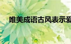 唯美成语古风表示爱情（唯美成语古风）