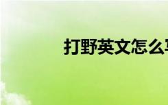 打野英文怎么写（打野英文）