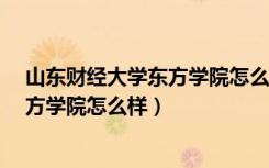 山东财经大学东方学院怎么样?就业前景（山东财经大学东方学院怎么样）