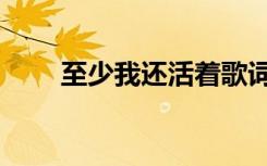 至少我还活着歌词（至少我还活着）
