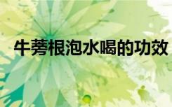 牛蒡根泡水喝的功效（牛蒡泡水喝的功效）