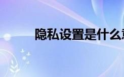 隐私设置是什么意思（隐私设置）