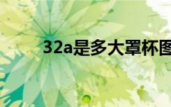 32a是多大罩杯图片（32a是多大）