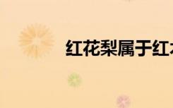 红花梨属于红木吗（红花梨）