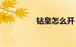 钻皇怎么开（钻皇图标）