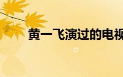 黄一飞演过的电视剧（黄一飞演员）